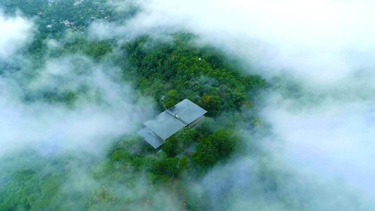 Elephant Passage Munnar Buitenkant foto Aerial view of the house